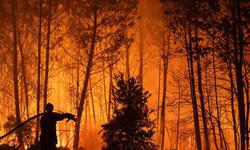 Cháy rừng lịch sử 'càn quét' Pháp và Tây Ban Nha, hơn 300.000 người phải sơ tán