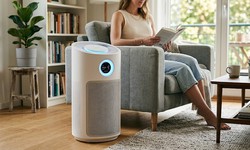 Máy lọc không khí có giúp giảm nguy cơ ảnh hưởng sức khỏe do bụi mịn không?