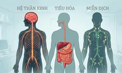 Ảnh hưởng của ô nhiễm thủy ngân với sức khỏe con người