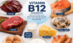 Bổ sung vitamin B12 và sắt có tác dụng gì?