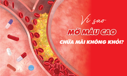 Chuyên gia lý giải nguyên nhân mỡ máu cao dễ mắc khó chữa