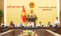 Đề xuất nhiều chính sách mới khi sửa đổi toàn diện Luật Đất đai năm 2024