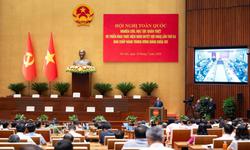Sửa Luật Đất đai: Đề xuất hạn chế phân lô bán nền, đánh thuế đất bỏ hoang