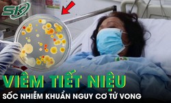 Người phụ nữ sốc nhiễm khuẩn, suy đa cơ quan, nguy cơ tử vong cao sau 3 ngày sốt, ho