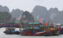 Quảng Ninh: 1 người mất tích do mưa bão, cấm biển từ 12 trưa nay