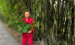 Đánh thức 'vàng xanh' Nam dược - Hành trình không ngừng nghỉ của 'Lão Nhà Quê'