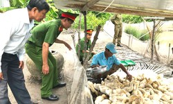 Người chấp hành xong án phạt tù được hỗ trợ học nghề, vay vốn, tìm việc