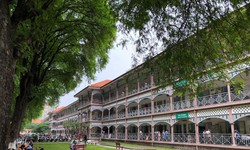Bệnh viện có gần 100 cây me cổ thụ đẹp nhất Việt Nam sẽ được tu bổ như thế nào?
