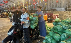 Những chuyến xe chở bắp cải phát miễn phí trước bão số 1 