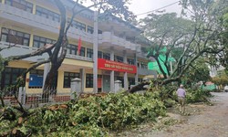 Quảng Ninh khắc phục hậu quả sau bão số 1