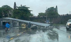 Hơn 1.000 cây xanh, hàng chục biển báo gãy đổ sau bão số 1