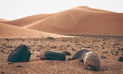 Viên đá lạ tại sa mạc Sahara hé lộ bí mật sửng sốt về hệ Mặt Trời