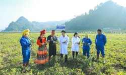 Dược liệu sạch, nhà máy GMP – Hành trình 'làm thật' của Dược phẩm Tâm Bình