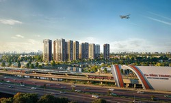 Công ty Cổ phần Bluemarq Development vi phạm chứng khoán