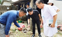 Hà Tĩnh ghi nhận 11 ca sốt xuất huyết, tăng cường khoanh vùng dập dịch