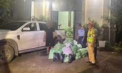 Phát hiện xe bán tải vận chuyển 220 bình khí cười ở Móng Cái