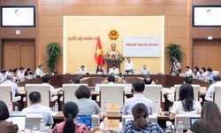 Sửa Luật Đất đai: Đề xuất thu hồi phần đất còn lại khi đạt ngưỡng 75%