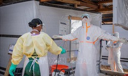 Liên hợp quốc: Mỗi 30 phút lại có 1 người chết vì Ebola