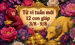 Tử vi tuần mới 12 con giáp 3/8 - 9/8: Mùi công việc đình trệ, Tý tình duyên chuyển biến