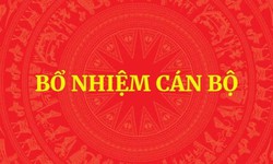 Bổ nhiệm Trợ lý Phó Thủ tướng Hồ Quốc Dũng