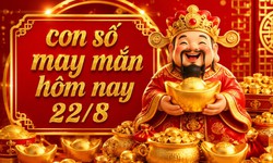 Con số may mắn hôm nay 22/8 - số tài lộc 12 con giáp theo năm sinh