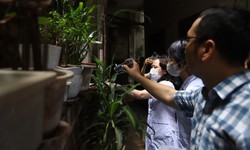 Phường Ba Đình triển khai 90 đội diệt bọ gậy, kiểm soát sốt xuất huyết từ khu dân cư