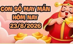 Con số may mắn hôm nay 24/8 - số tài lộc 12 con giáp theo năm sinh
