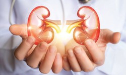7 thói quen giúp bảo vệ thận