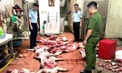 Phát hiện gần 1 tấn thịt lợn nghi nhiễm dịch tả lợn châu Phi