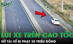 Nữ tài xế liều lĩnh lùi xe trên cao tốc Vĩnh Hảo - Phan Thiết bị phạt 35 triệu đồng