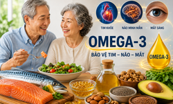 Vì sao omega-3 quan trọng hơn với người sau 50 tuổi?