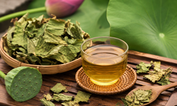 Uống trà lá sen vào thời điểm nào hỗ trợ giảm cân hiệu quả nhất?