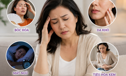 Tiền mãn kinh và mãn kinh: Hiểu đúng những thay đổi của cơ thể để sống khỏe hơn