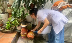 1.259 ca sốt xuất huyết, Hà Nội tăng cường kiểm tra phòng dịch trên toàn thành phố