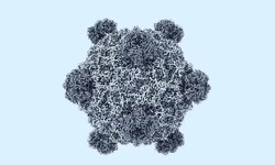 Mỹ tạo 16 loại virus chưa từng có ngoài tự nhiên bằng AI