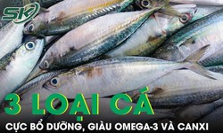 3 loại cá giá rẻ bán đầy chợ Việt nhưng bổ hơn nhiều người tưởng, giàu omega-3 và canxi