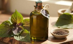 3 lợi ích của dầu tía tô với người ăn kiêng, giảm cân