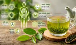 Điều gì xảy ra với cơ thể khi uống trà xanh mỗi ngày?