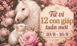 Tử vi tuần mới 12 con giáp từ 10/8 - 16/8: Tý thăng trầm, Ngọ cẩn thận thị phi