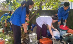 Nghệ An: 49 ca sốt xuất huyết tại một xã, nguy cơ dịch lan rộng