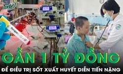Suýt mất mạng vì sốt xuất huyết, chi phí chữa trị gần 1 tỷ đồng
