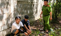 Bắt giam đối tượng cắt dây điện đường dẫn cao tốc