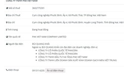 PAK Việt Nam vi phạm công bố thông tin về trái phiếu