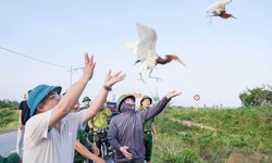 Hà Tĩnh ngăn nạn săn bắt chim trời mùa di cư