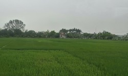 Các mức phạt khi cho thuê đất được nhà nước giao hoặc công nhận sai quy định