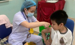 Hải Phòng tăng tốc làm sạch, chuẩn hóa dữ liệu tiêm chủng trước 30/9