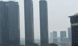 Cơ quan chuyên môn nói gì về sương mù ở Nam Bộ?