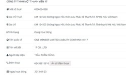 Công ty TNHH MTV 17 vi phạm chứng khoán