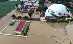 Hơn 10.000 ha cây trồng thiệt hại, hàng nghìn nhà dân bị ngập do mưa lũ