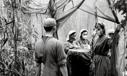 Giữ mạch sống giữa rừng xanh